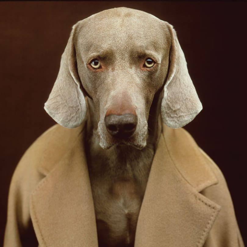Img Gallery 405x405 01 Max Mara Brand
