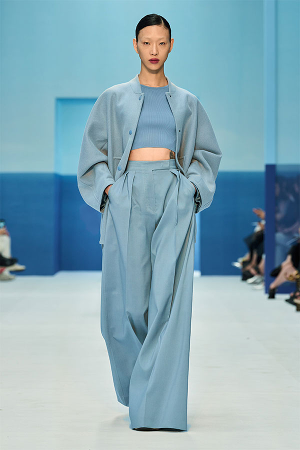 Look 36 Max Mara Brand