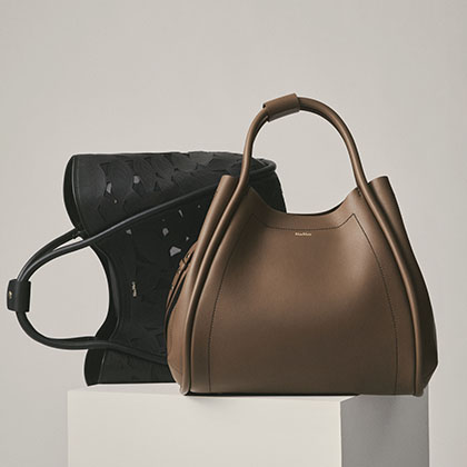 Bags (1) Max Mara Brand