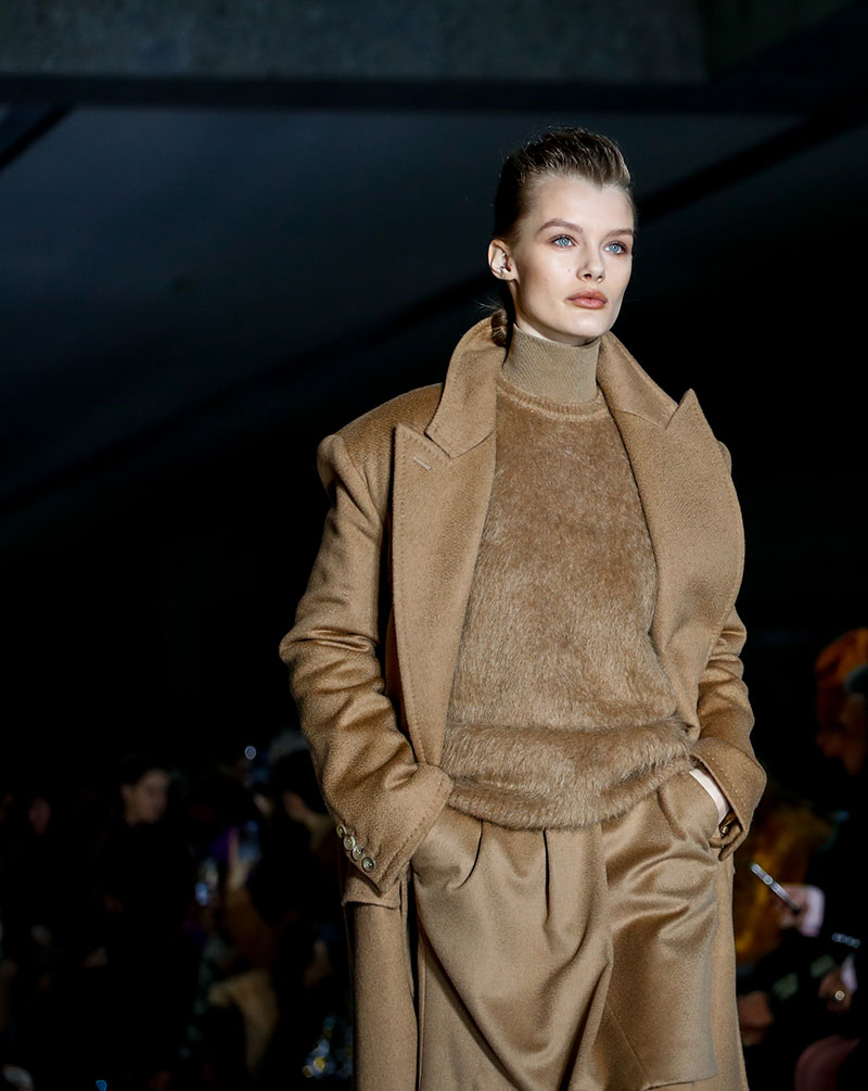 New Max Mara Brand
